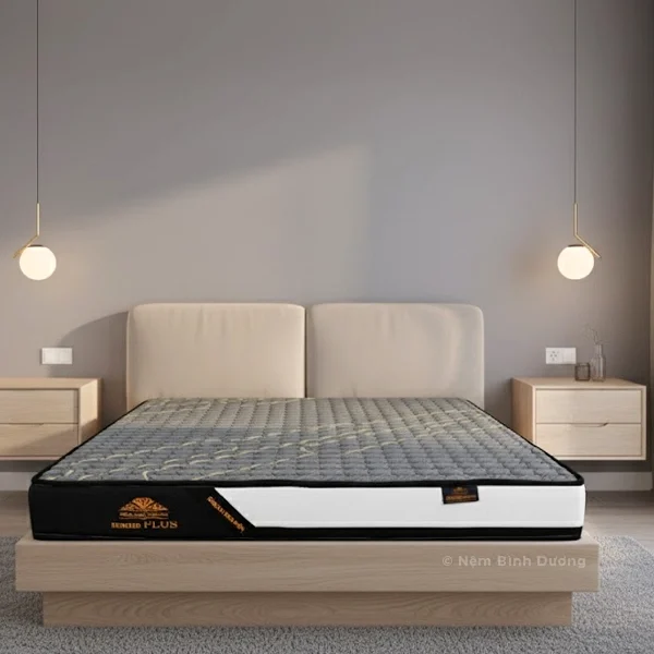 Nệm ép tổng hợp Kim Cương Eumixed Plus